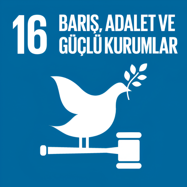SKA 16 – Barış, Adalet ve Güçlü Kurumlar