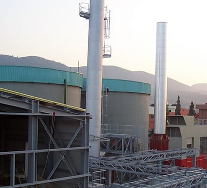 Birlik Mensucat Cogeneration Power Plant